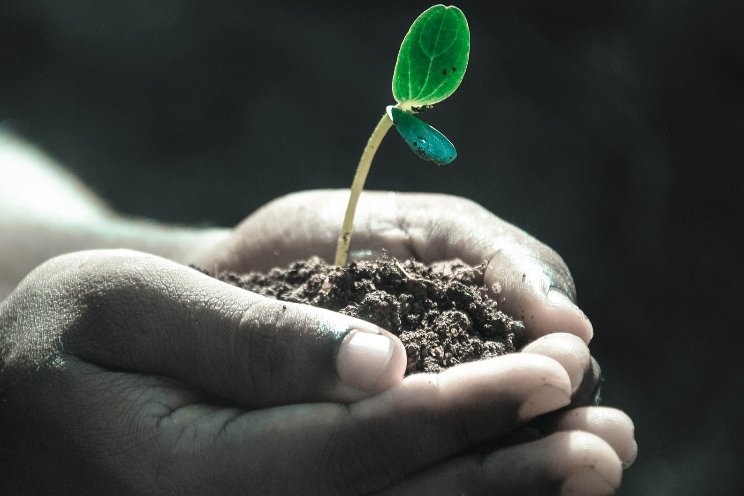 Nieuw educatief programma over plantgezondheid Nieuw educatief programma over plantgezondheid