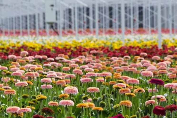 Start project Meten Plantweerbaarheid Start project Meten Plantweerbaarheid