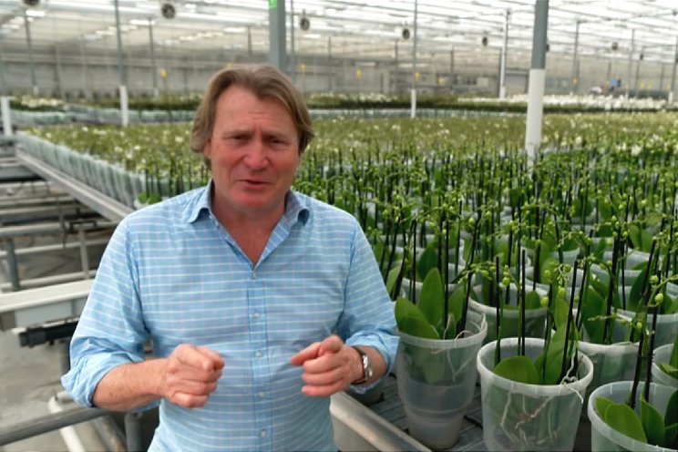 Opti-flor op Britse ITV Opti-flor op Britse ITV