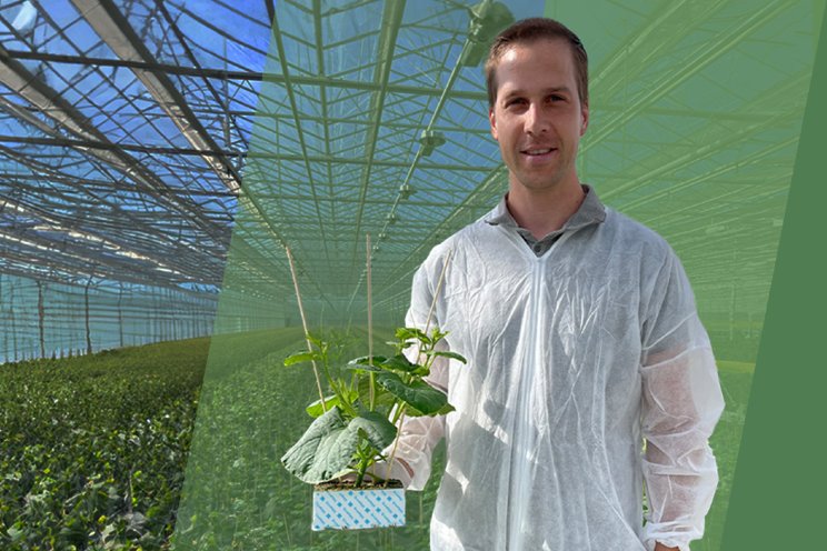 Gratis webinar over nieuwe training Plant Empowerment Gratis webinar over nieuwe training Plant Empowerment