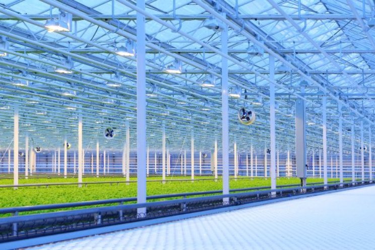 Wat betekent CSRD voor jouw glastuinbouwbedrijf?