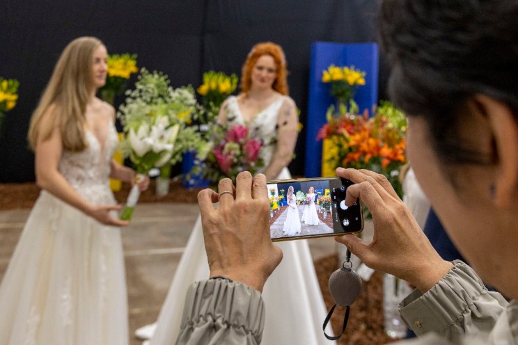 Leliesector bloeiend in beeld met Dutch Lily Days