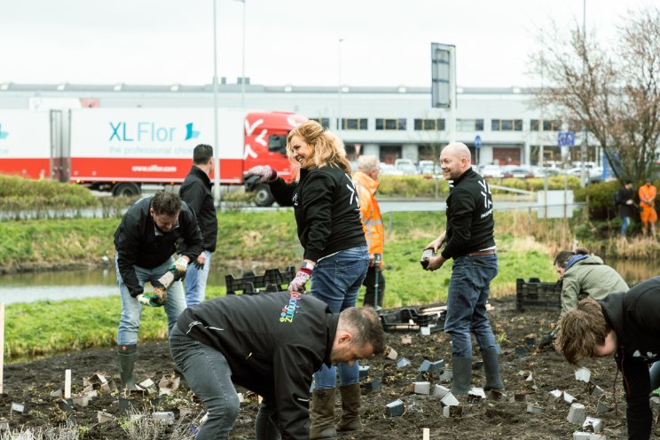 FM Group verwelkomt bijenpark in Aalsmeer