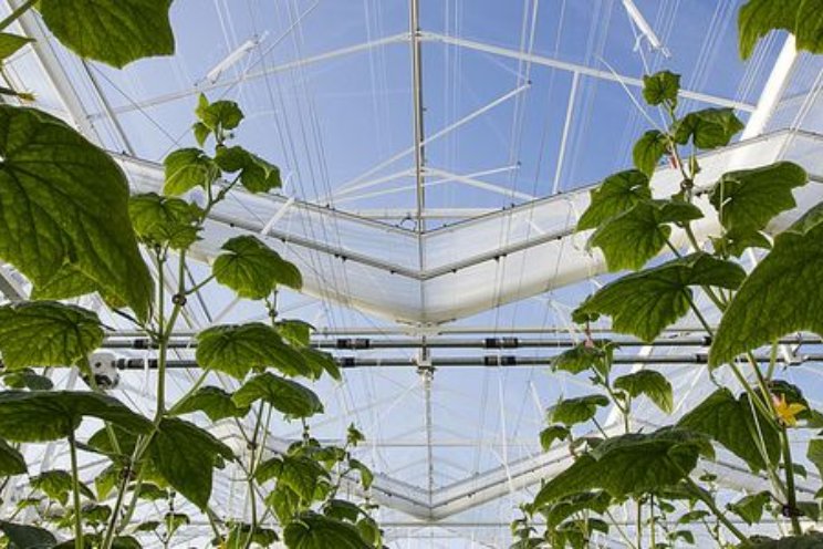 Slimme technologie helpt plagen eerder opsporen Slimme technologie helpt plagen eerder opsporen