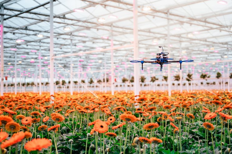 Autonome drone voor precisieteelt gerbera Autonome drone voor precisieteelt gerbera