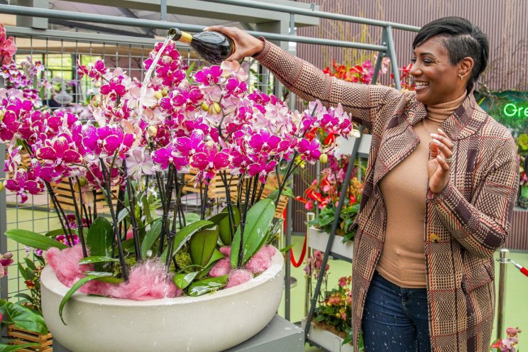 Edsilia Rombley doopt haar eigen Phalaenopsis