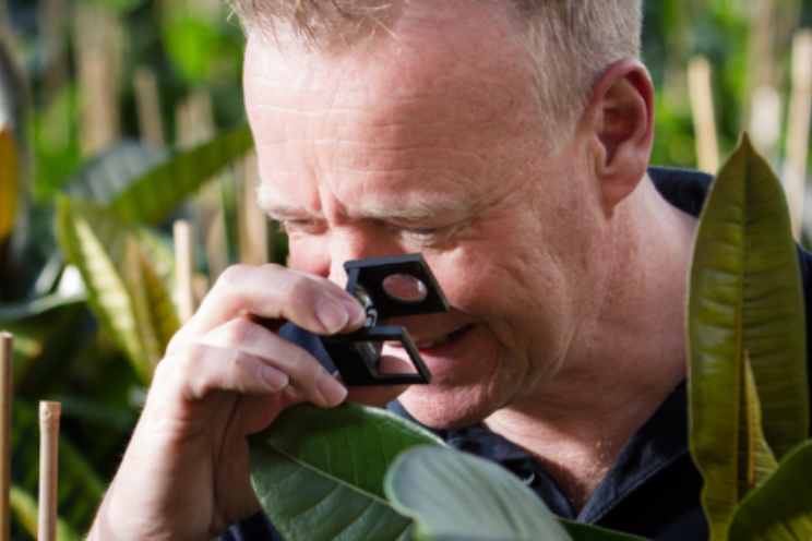 Jaaroverzicht 2023: Plantgezondheid Jaaroverzicht 2023: Plantgezondheid