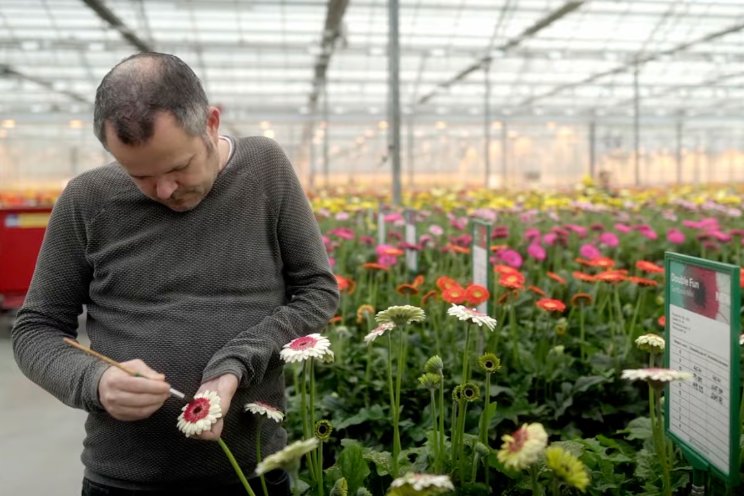 Nieuwe tagline en video voor Hilverda Florist