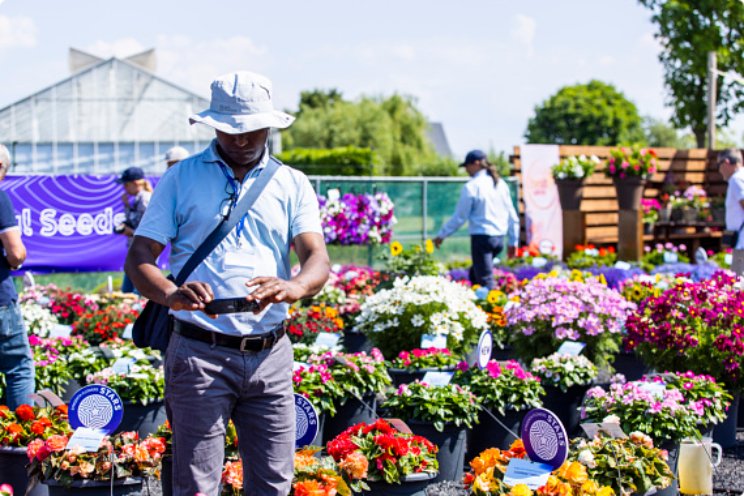 30% meer registraties in aanloop naar FlowerTrials 30% meer registraties in aanloop naar FlowerTrials