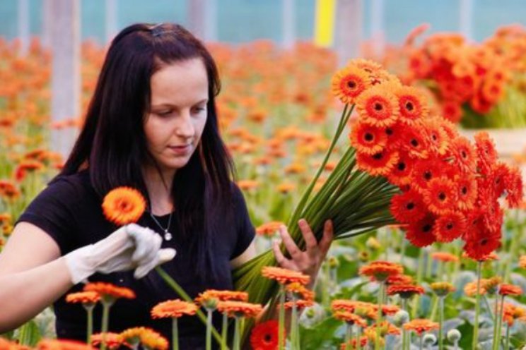 Flexibel en korter werken maakt productiever