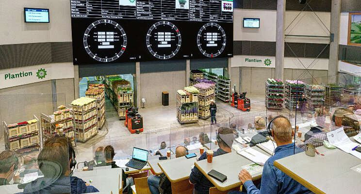 Digitale inkoop Plantion flink gegroeid in 2021 Digitale inkoop Plantion flink gegroeid in 2021