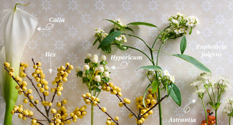 365 dagen bloemen biedt winterse bloementuin 365 dagen bloemen biedt winterse bloementuin