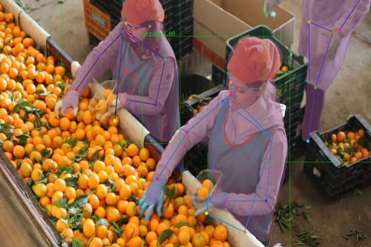Slimme robots vergroten waarde verse groente