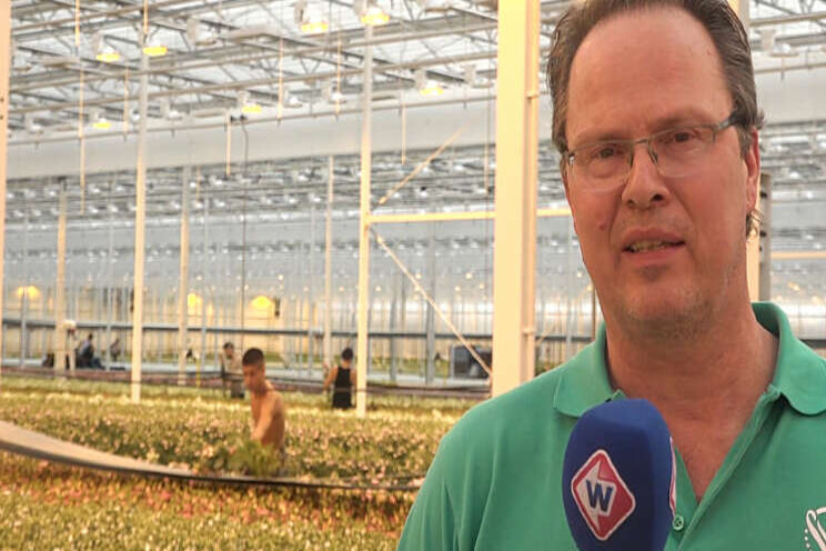 Video: 'Zonder steun gaan we failliet'